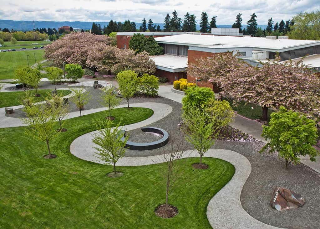 Meticulously Manicured Landscapes