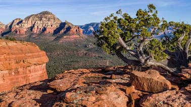 Scenic Desert Landscape