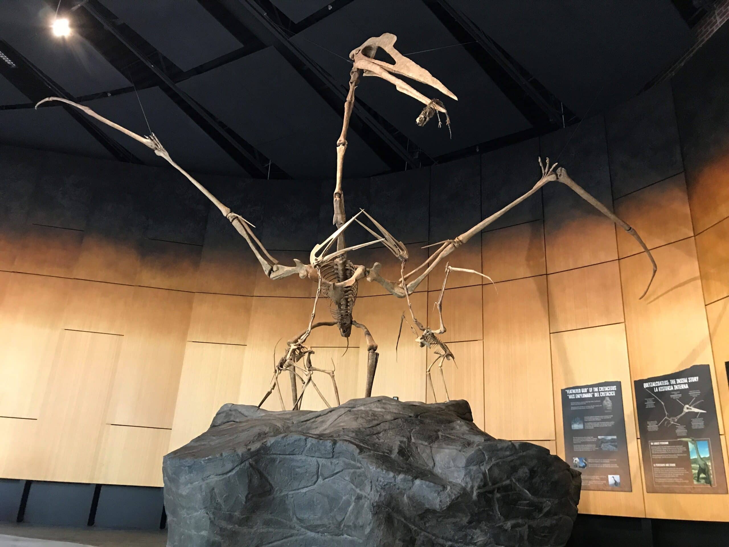 Interactive Exhibits