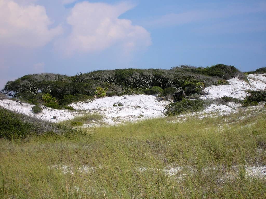 Grayton Beach State Park