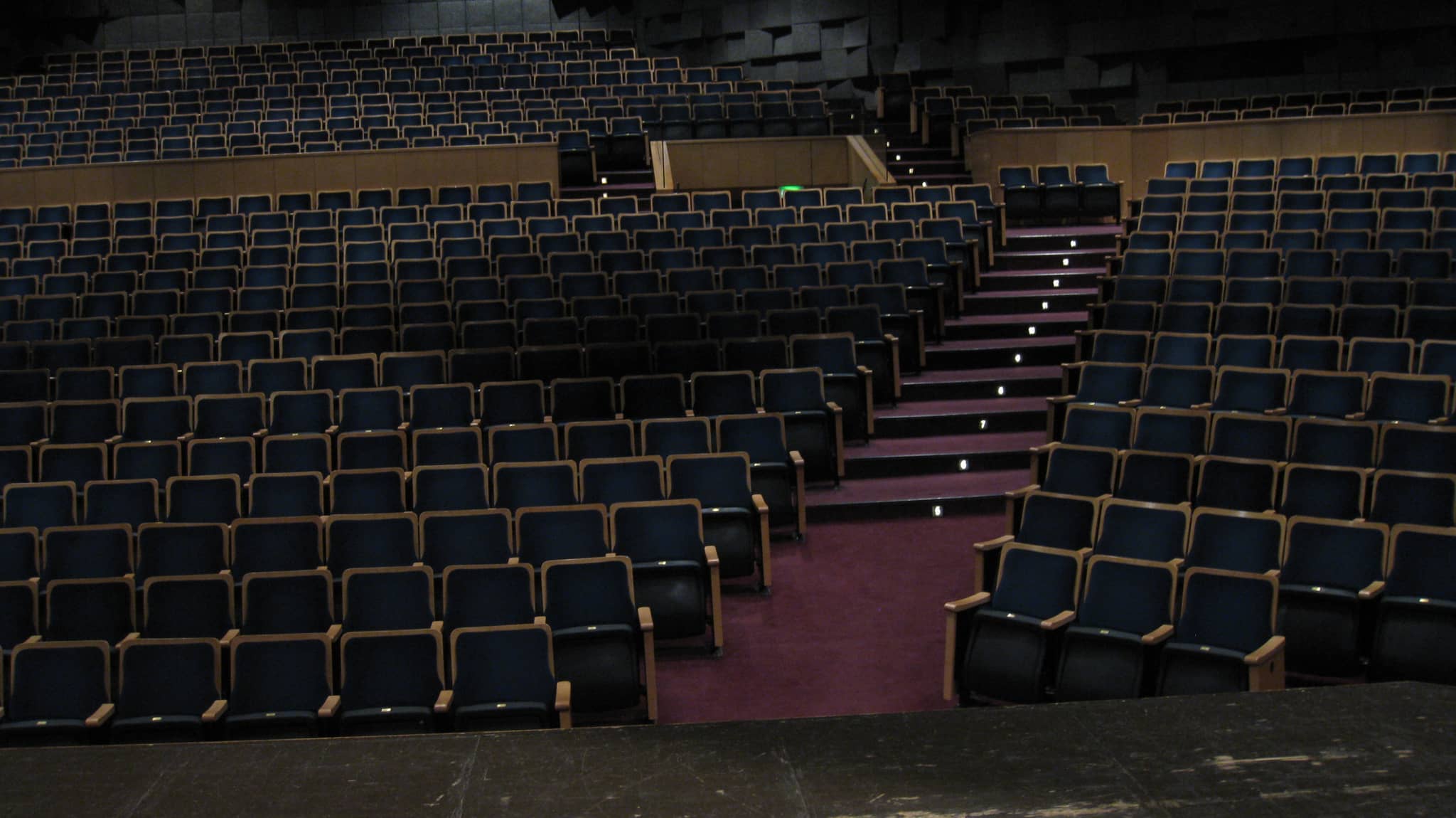 Concert Hall Acoustics