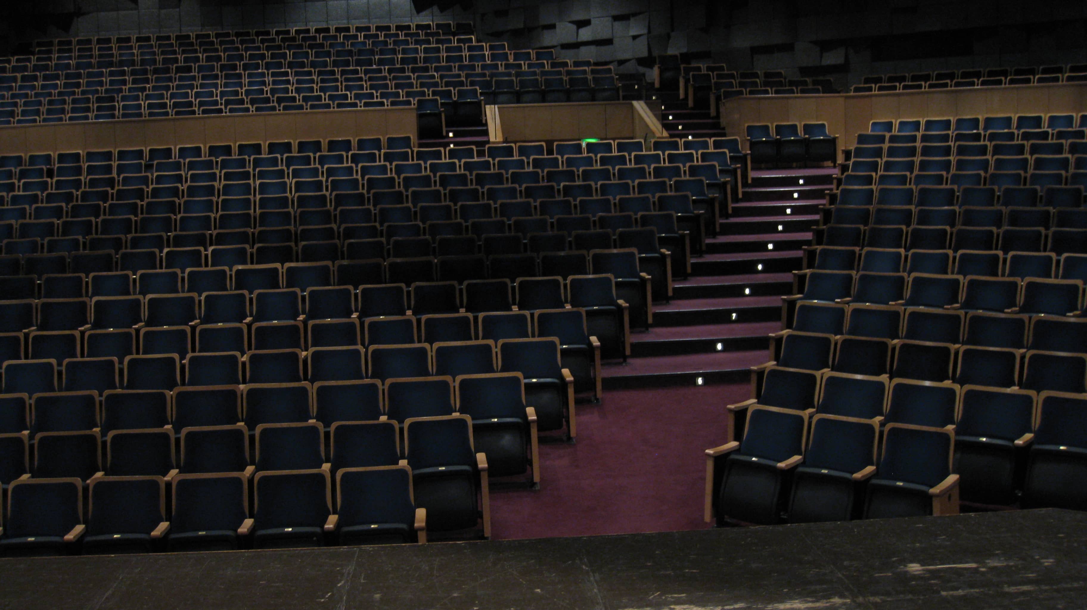 Concert Hall Acoustics