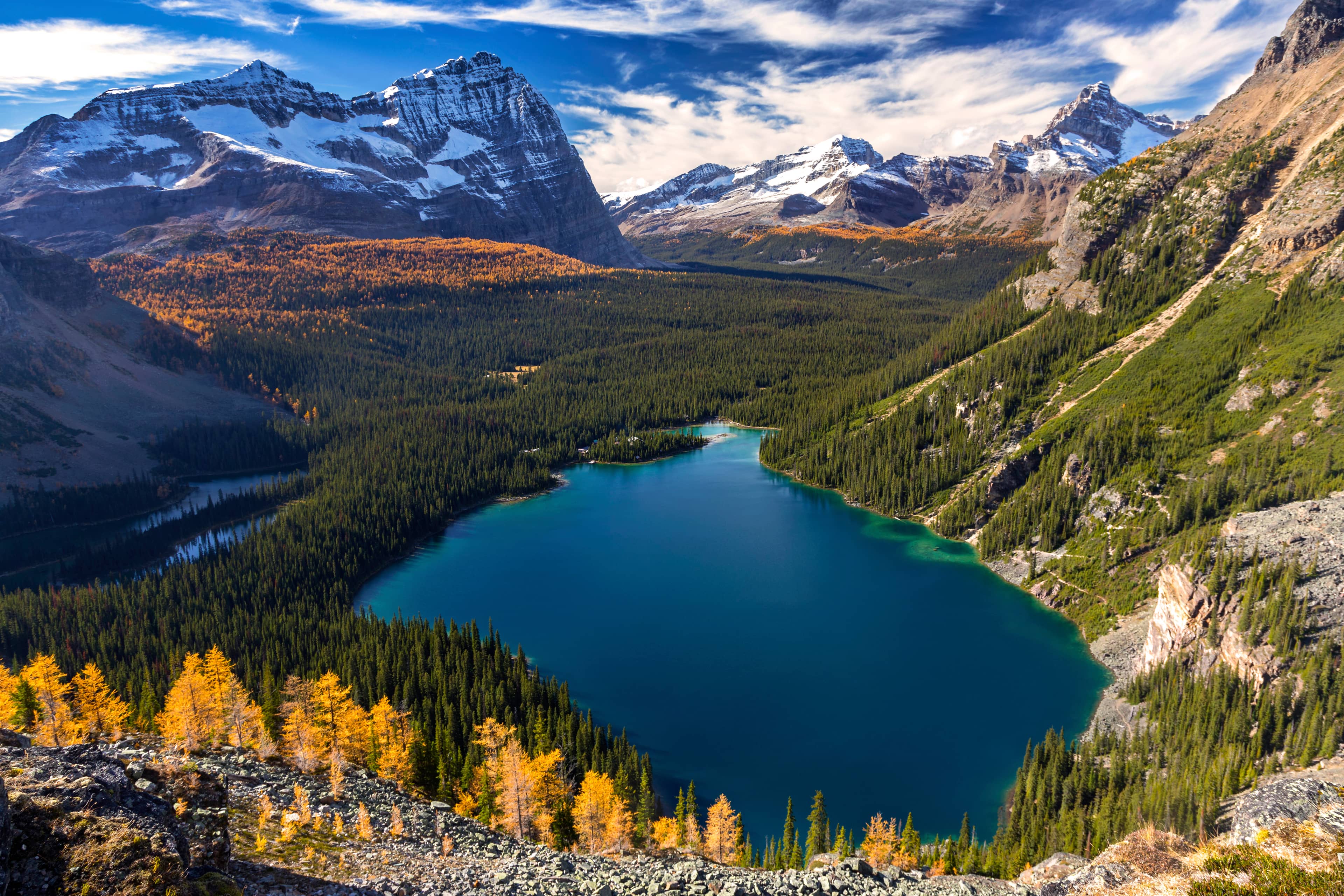 Lake O'Hara Views