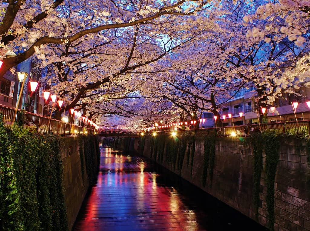 Riverside Illuminations