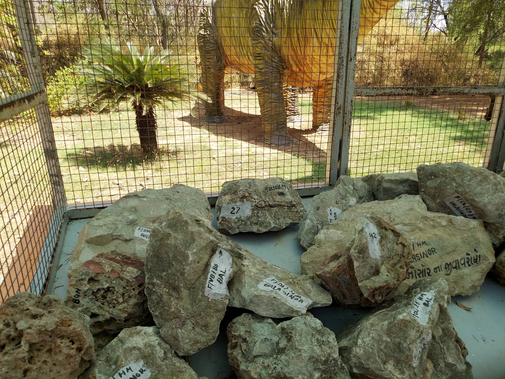 Interactive Excavation Site