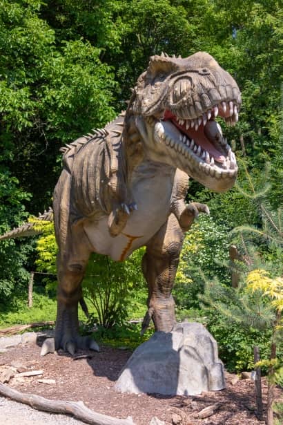 5D Cinema Experience