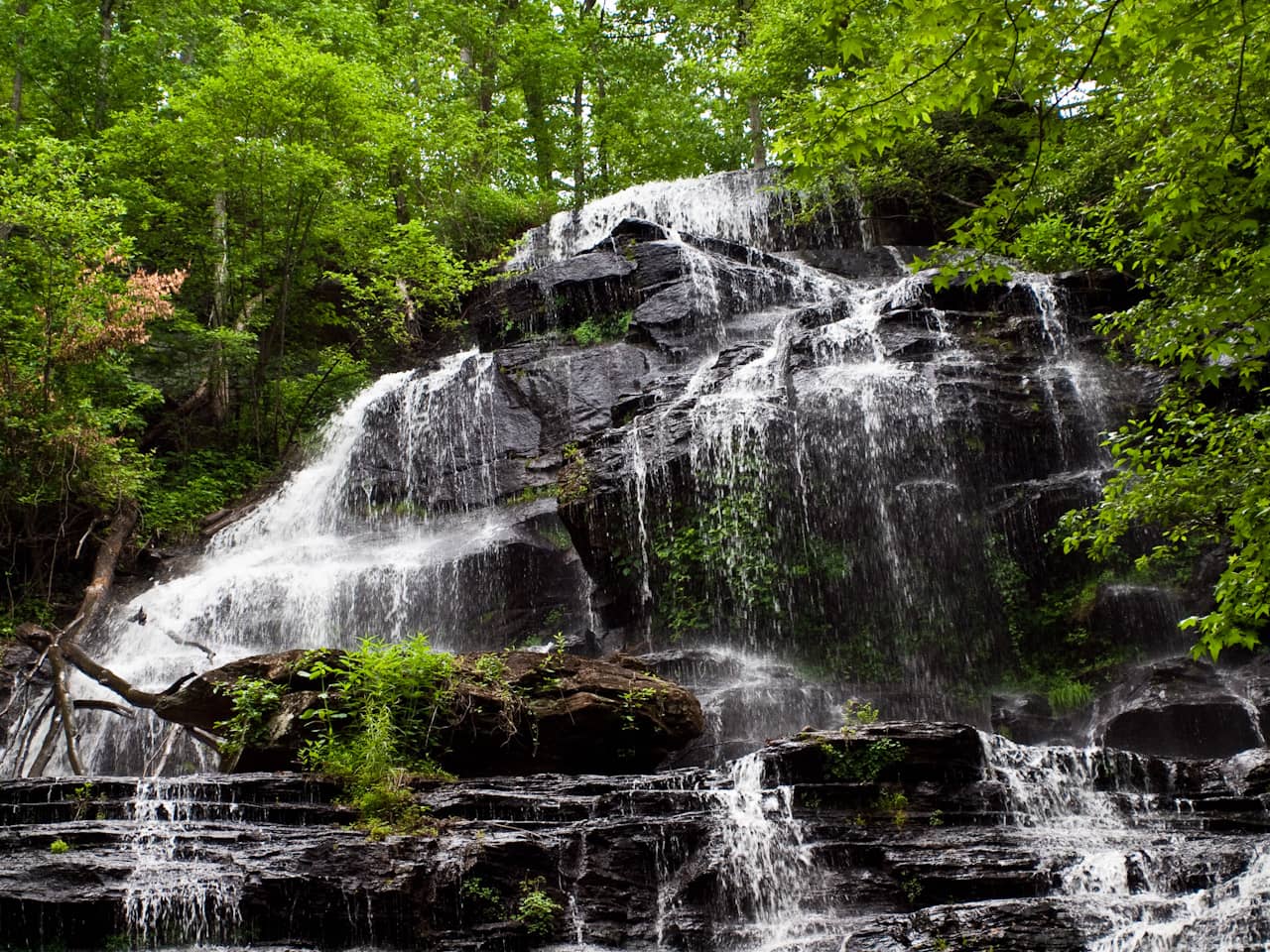 Nature Trails