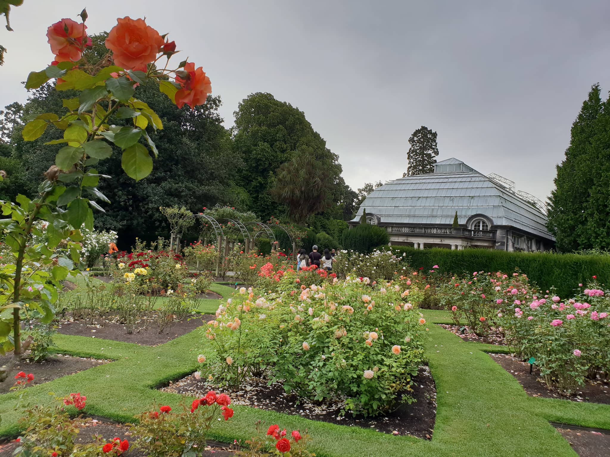 Rose Garden