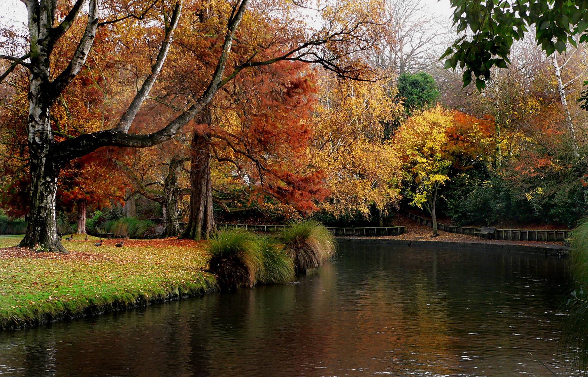 Avon River Walk