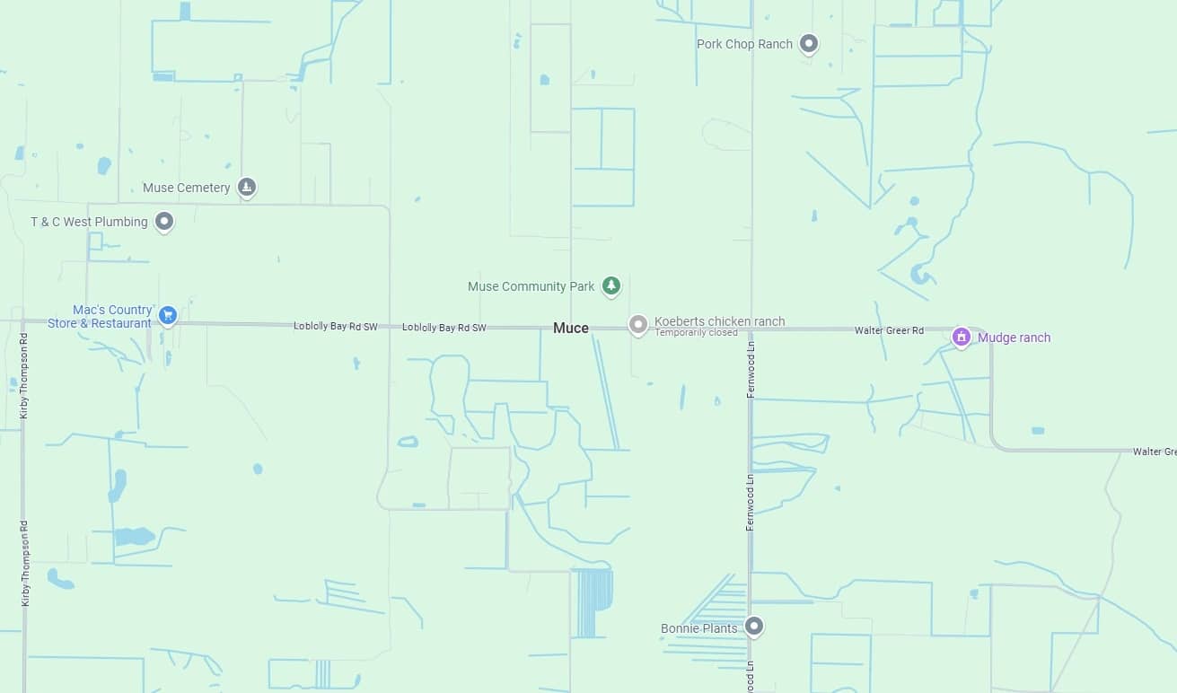 Headstone Cleaning & Preservation