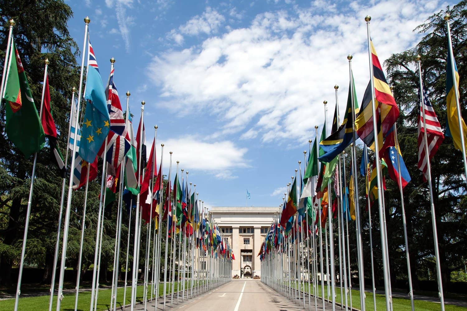International Community Hub