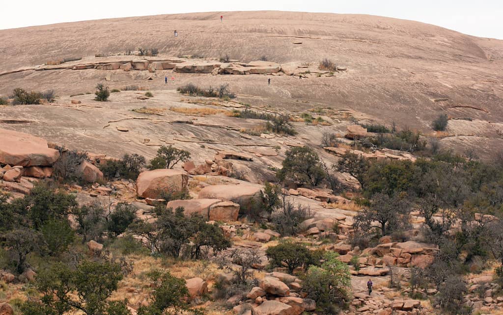 Enchanted Rock State Natural Area