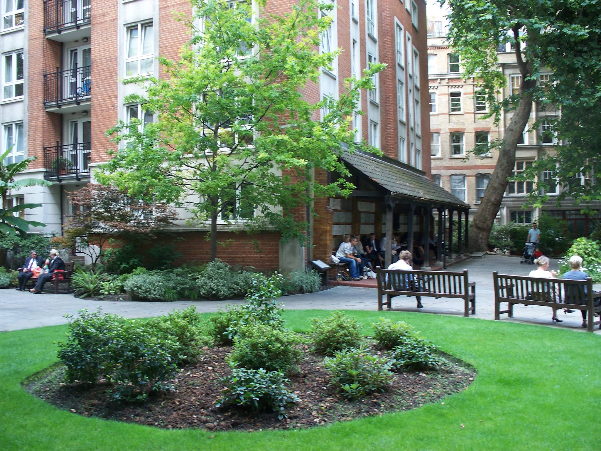 Tranquil Green Oasis