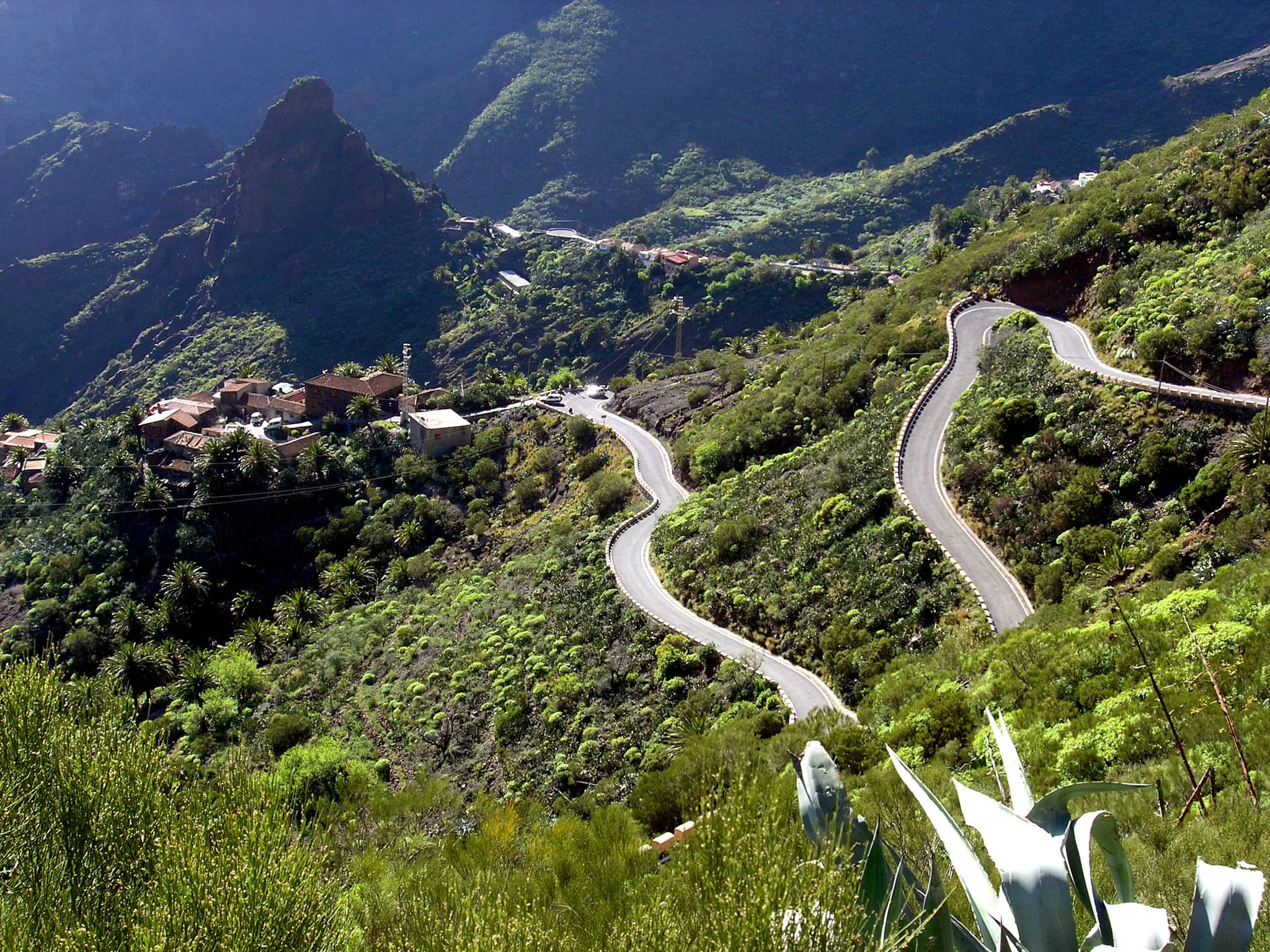 Scenic Drive