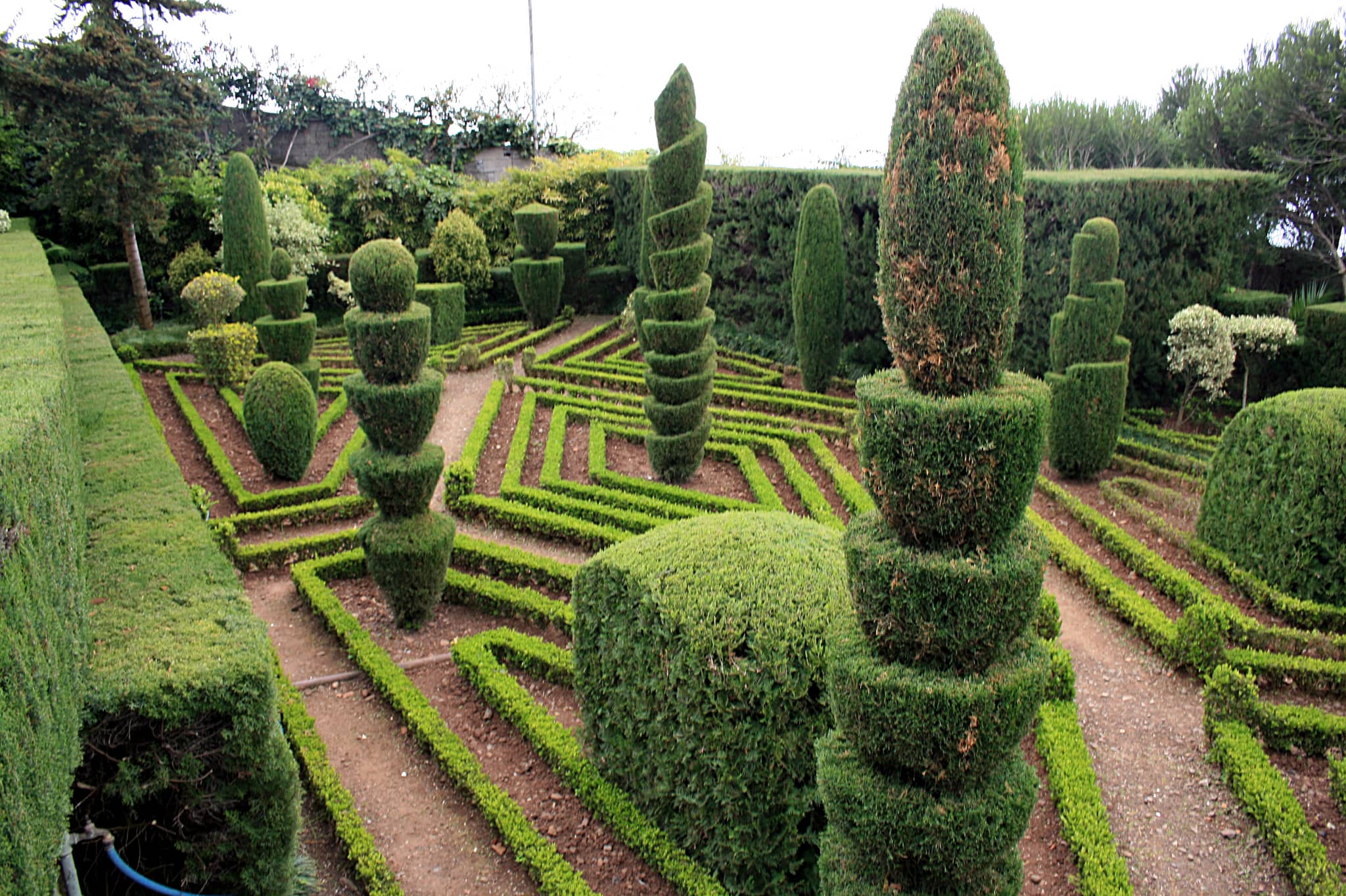 Winding Footpaths and Art
