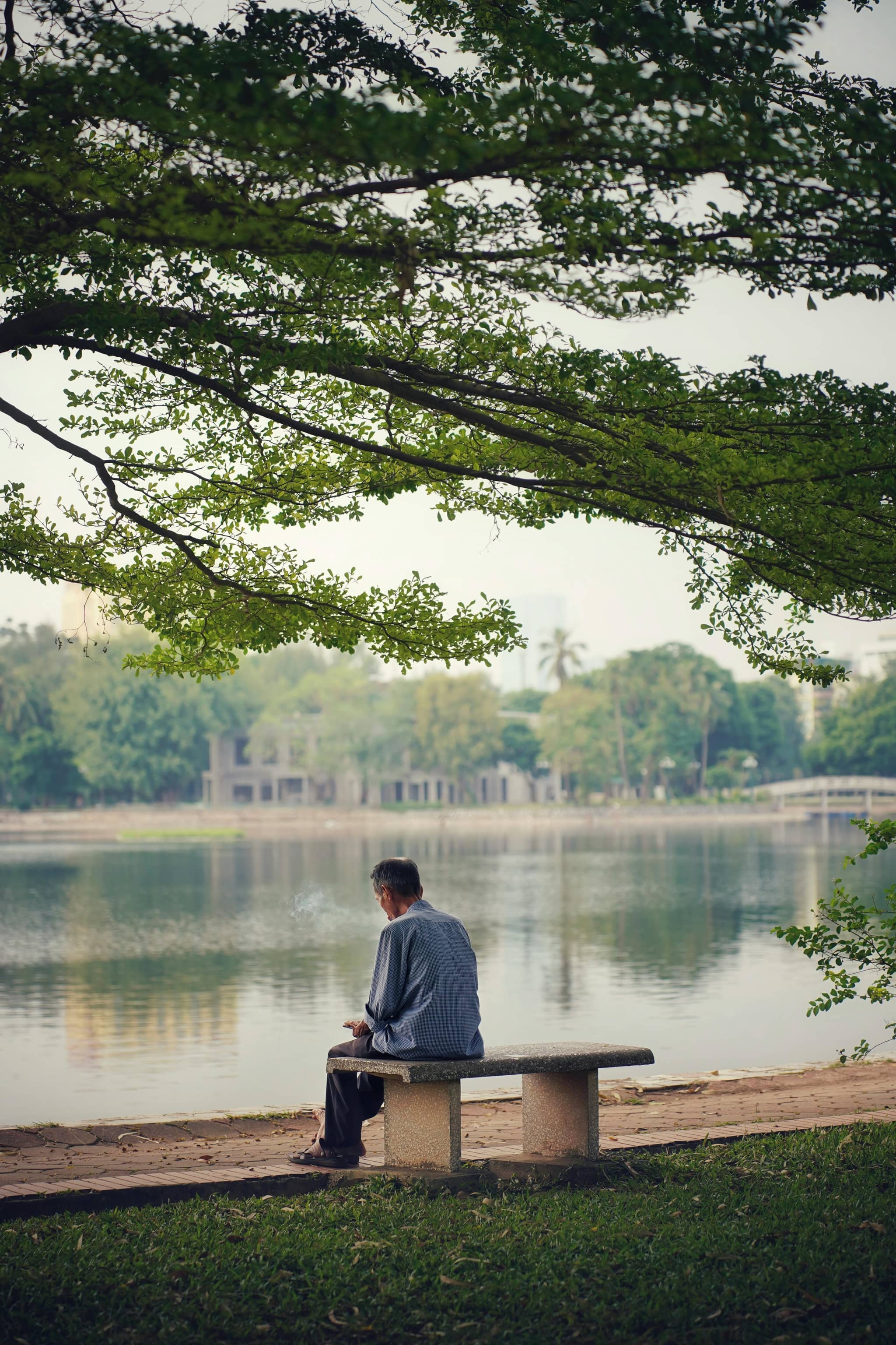 Lakeside Strolls