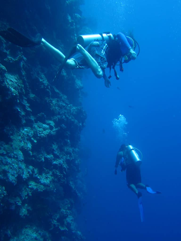 Thrilling Swim-Throughs