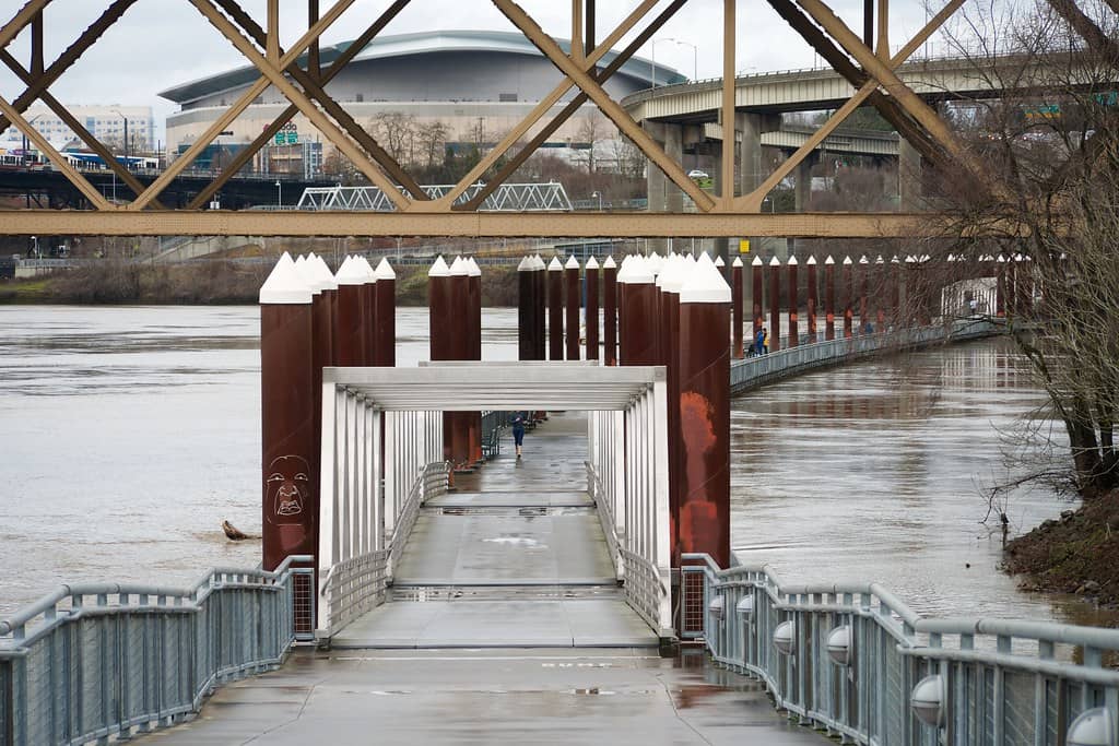 Burnside Bridge Views