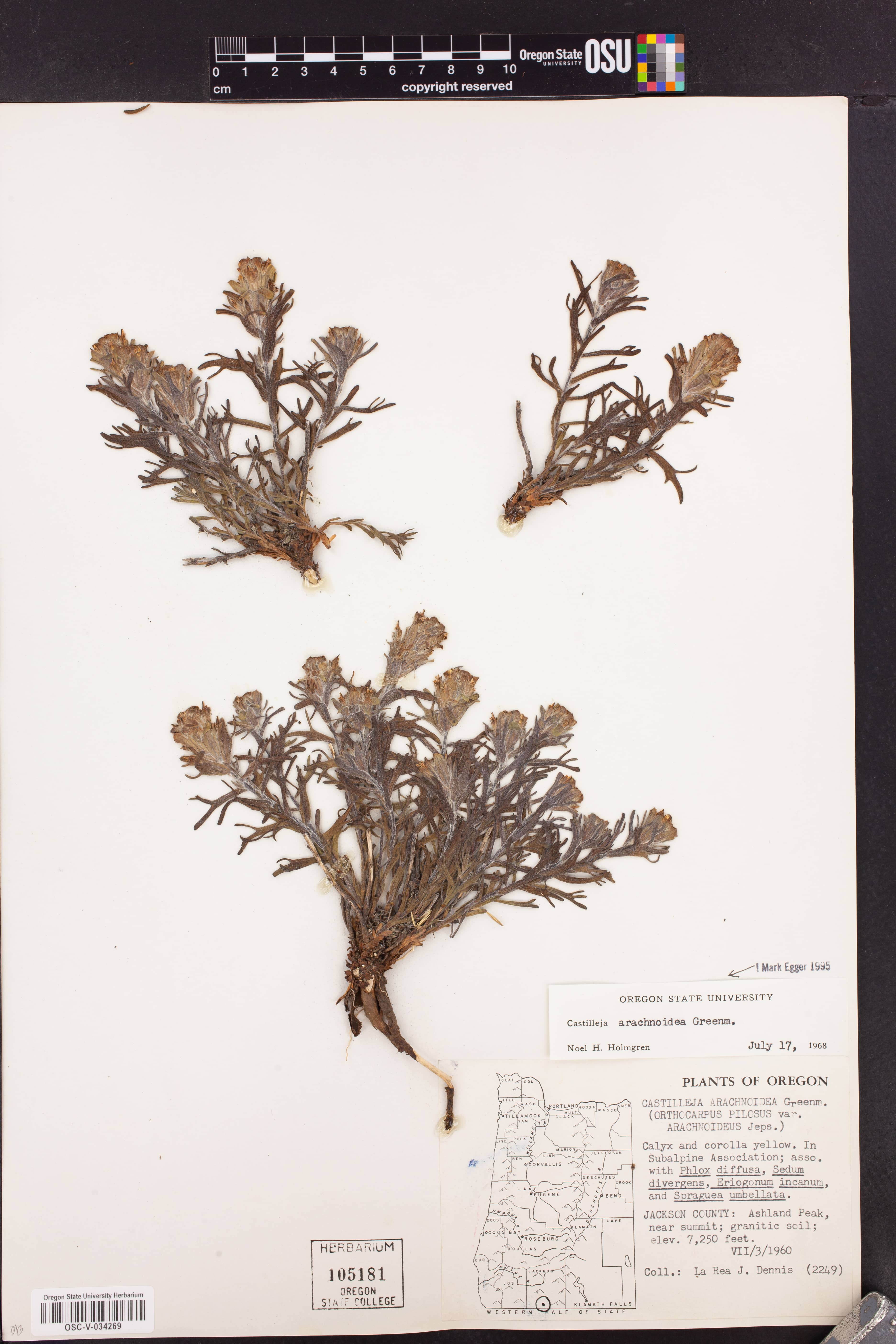 Picnic & BBQ Facilities