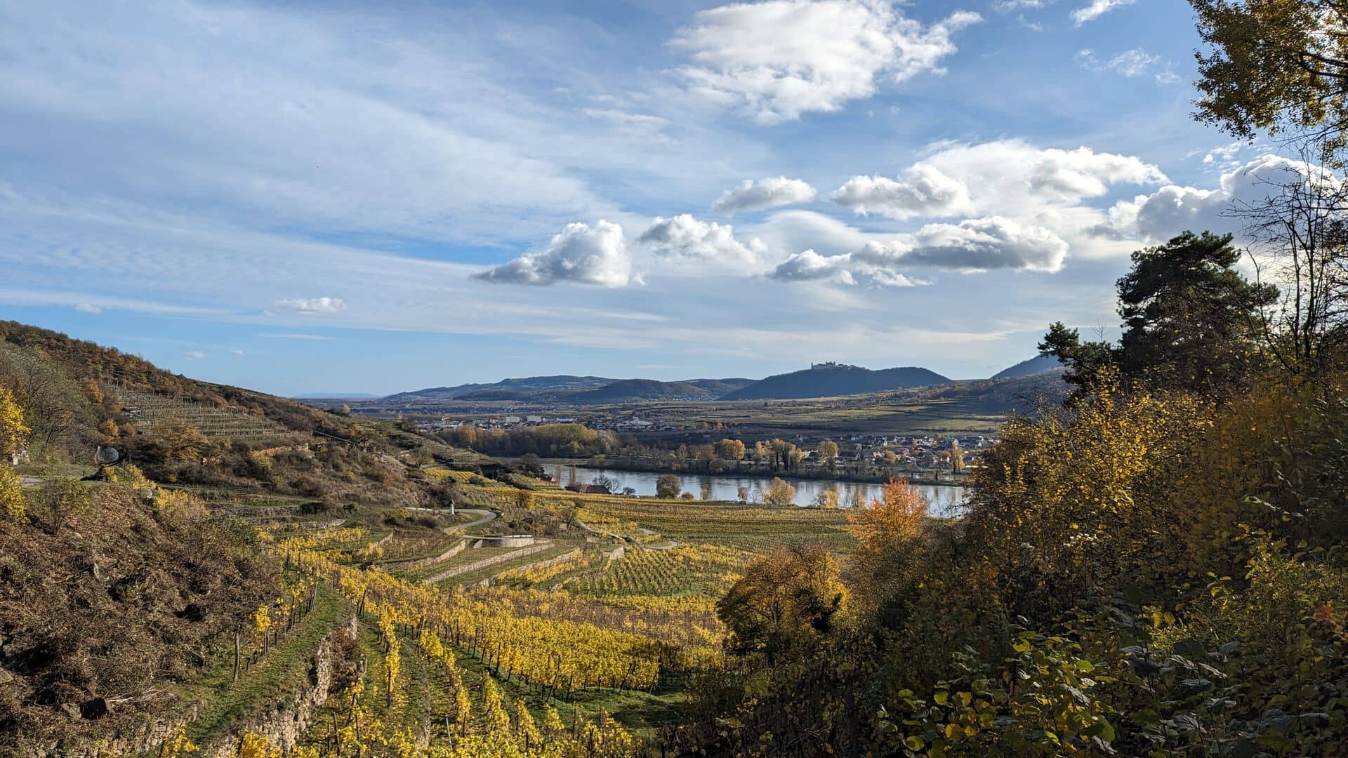 Vogelbergsteig Viewpoints