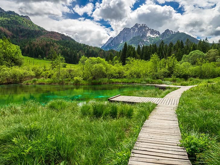 Wooden Boardwalks