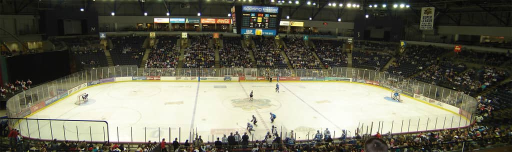 Ice Shows & Special Events