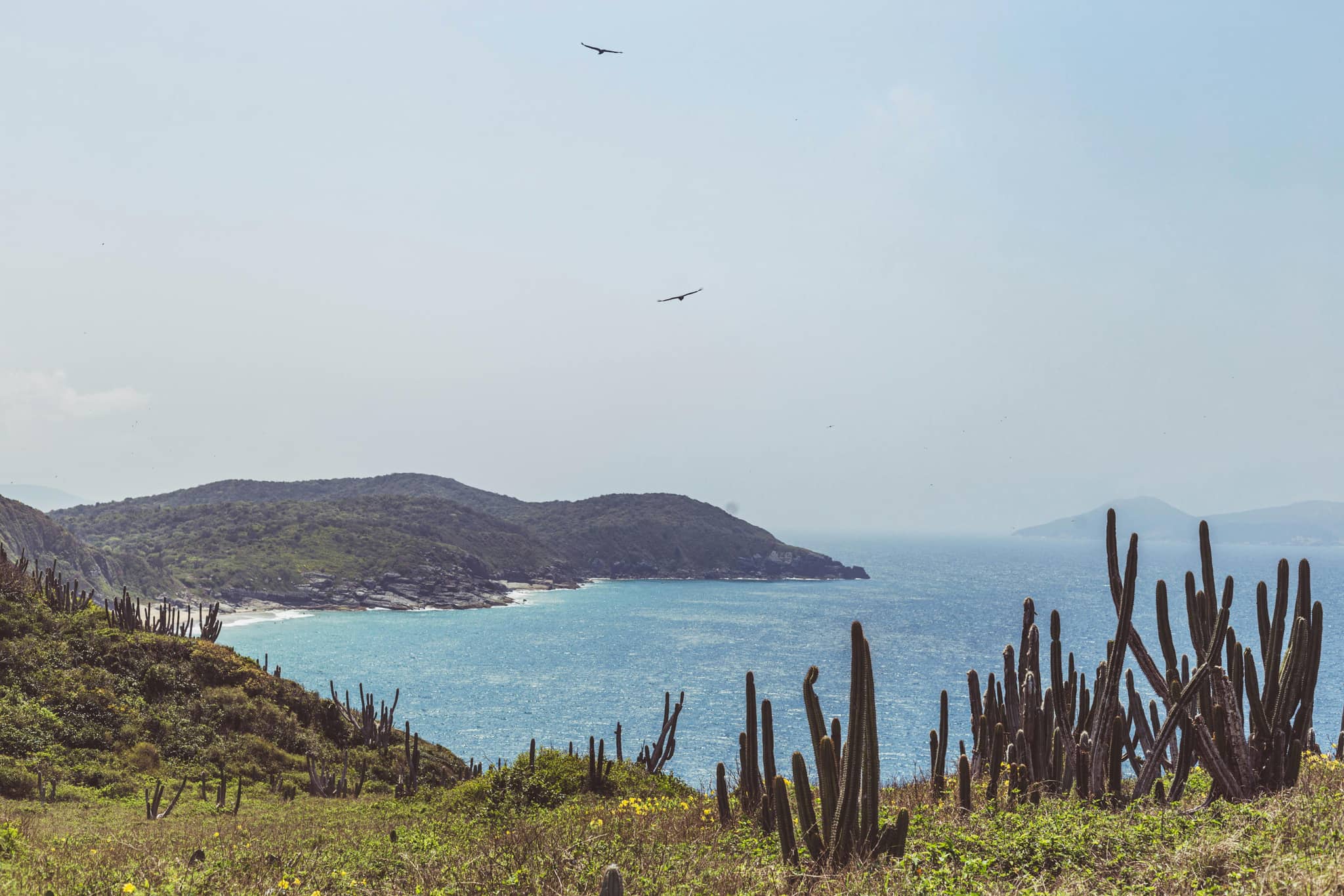 Rugged North Coast Landscape