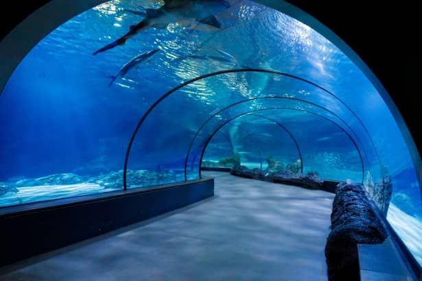 Themed Exhibition Areas