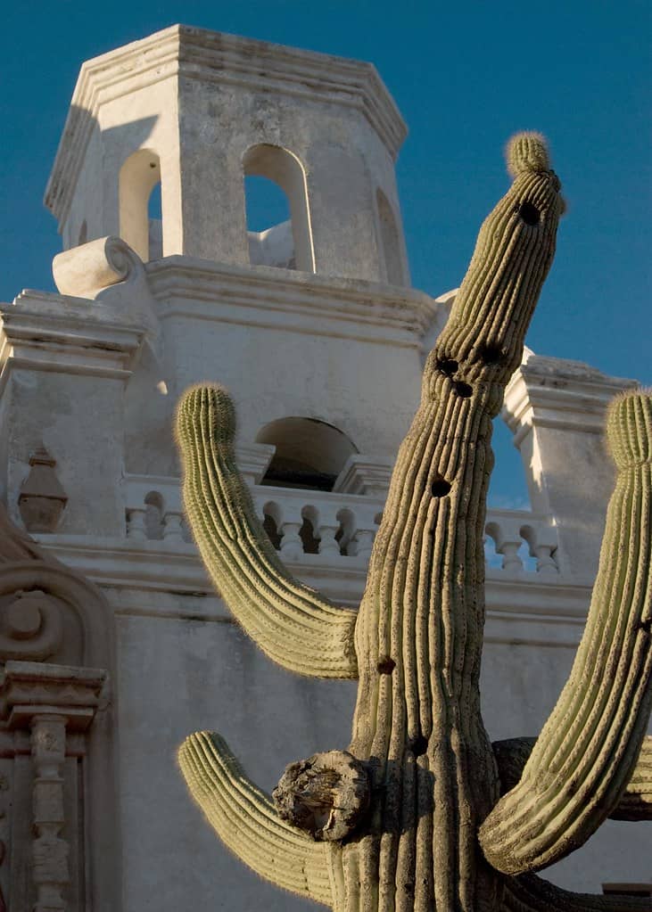 Rich History & Cultural Significance