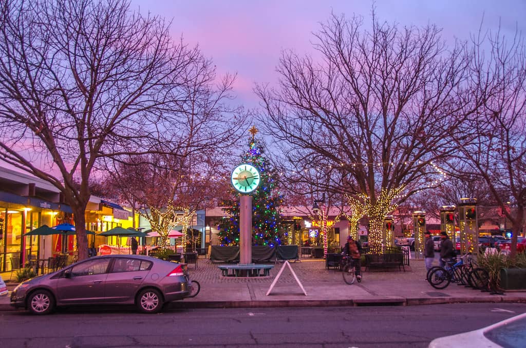 Local Boutiques & Shops