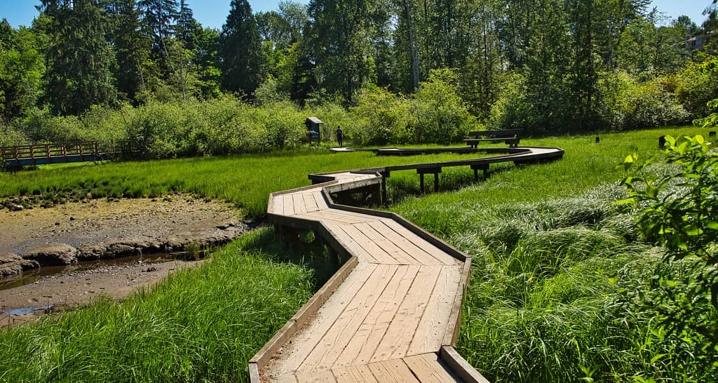 Shoreline Trail