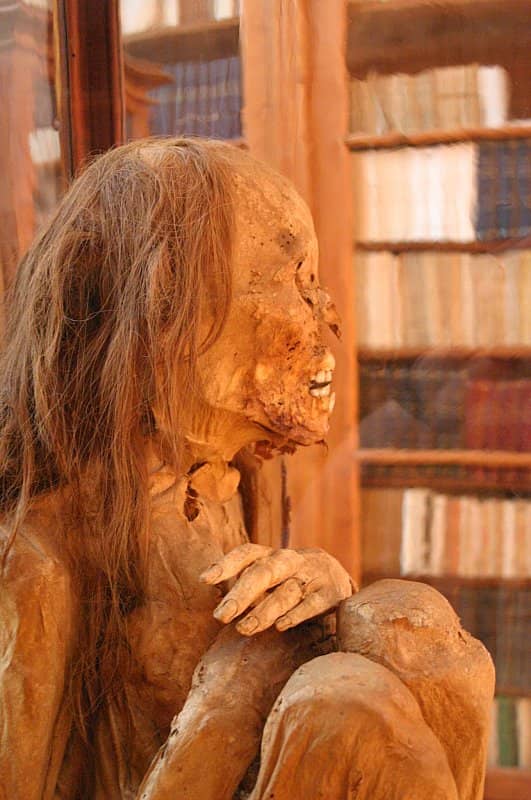 Mummies and Ancient Collections