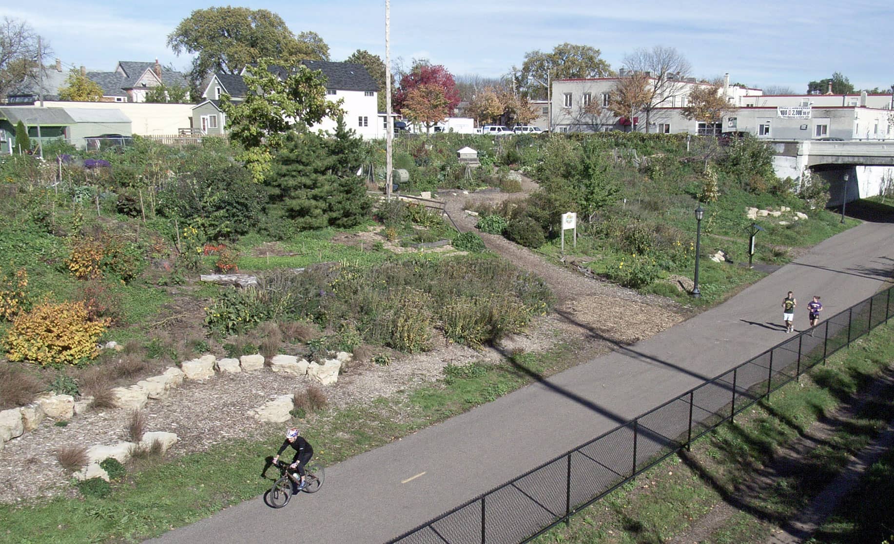Urban Oasis