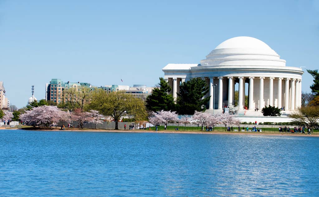 Jefferson Memorial Views