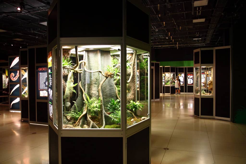 Interactive Displays