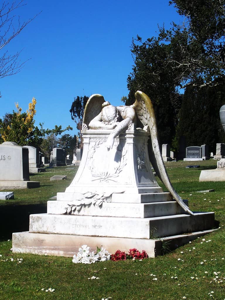The Weeping Angel
