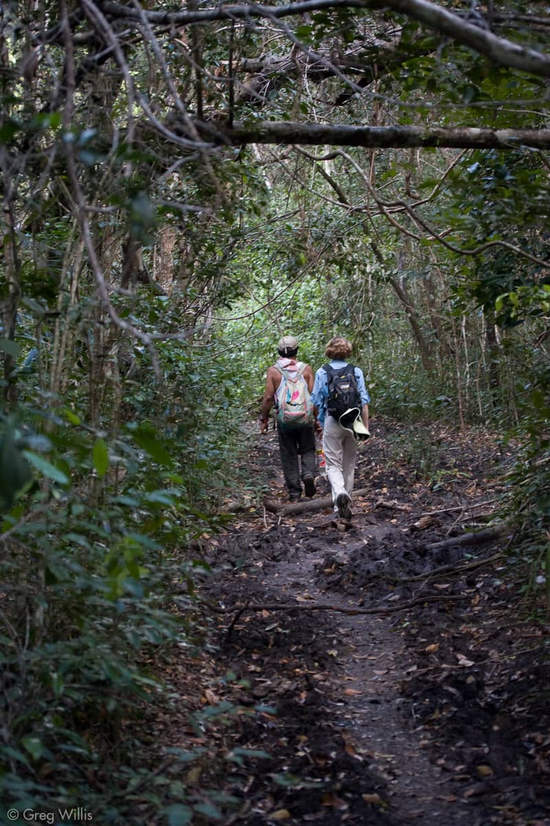 Serene Walking Trails