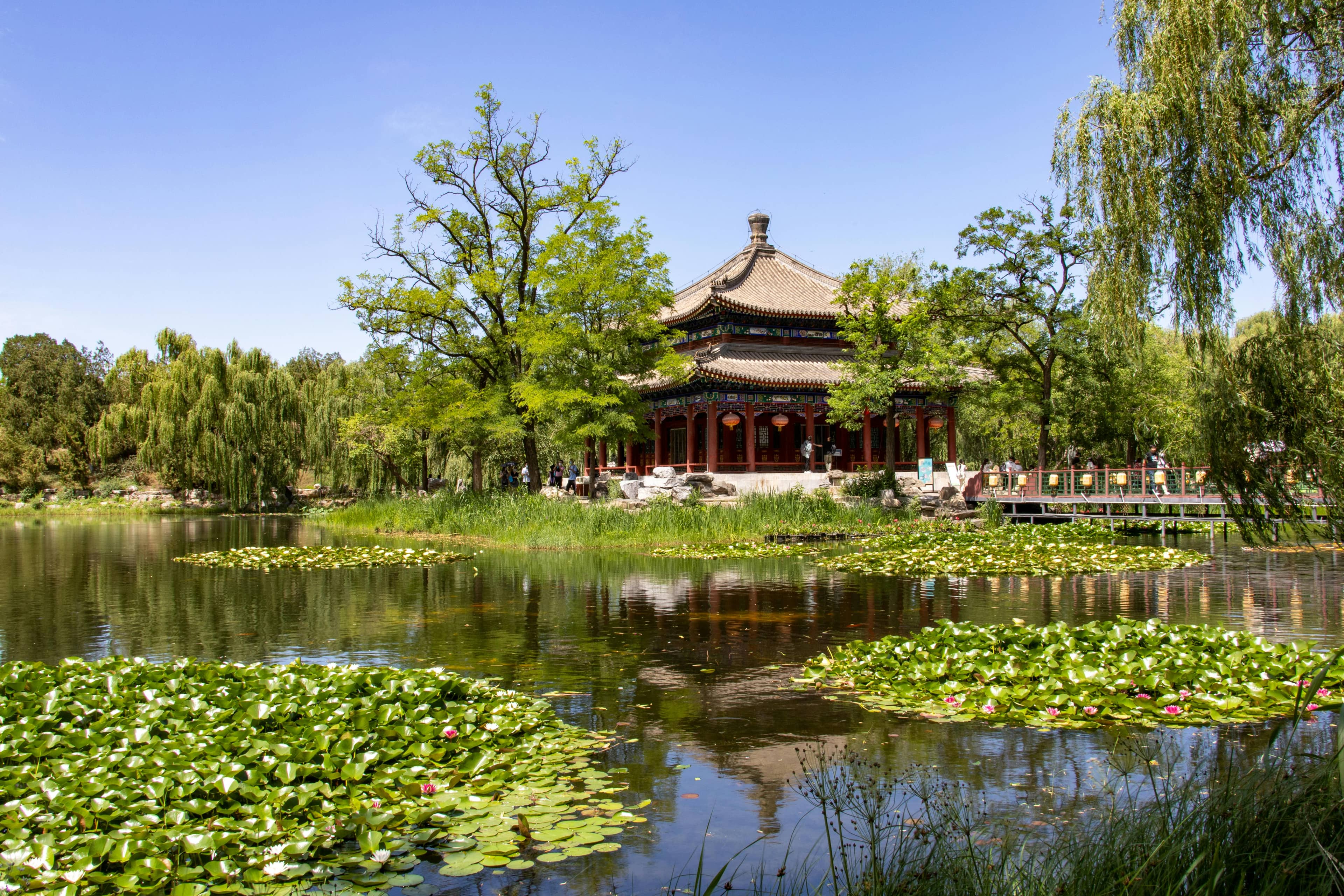 Traditional Landscaping