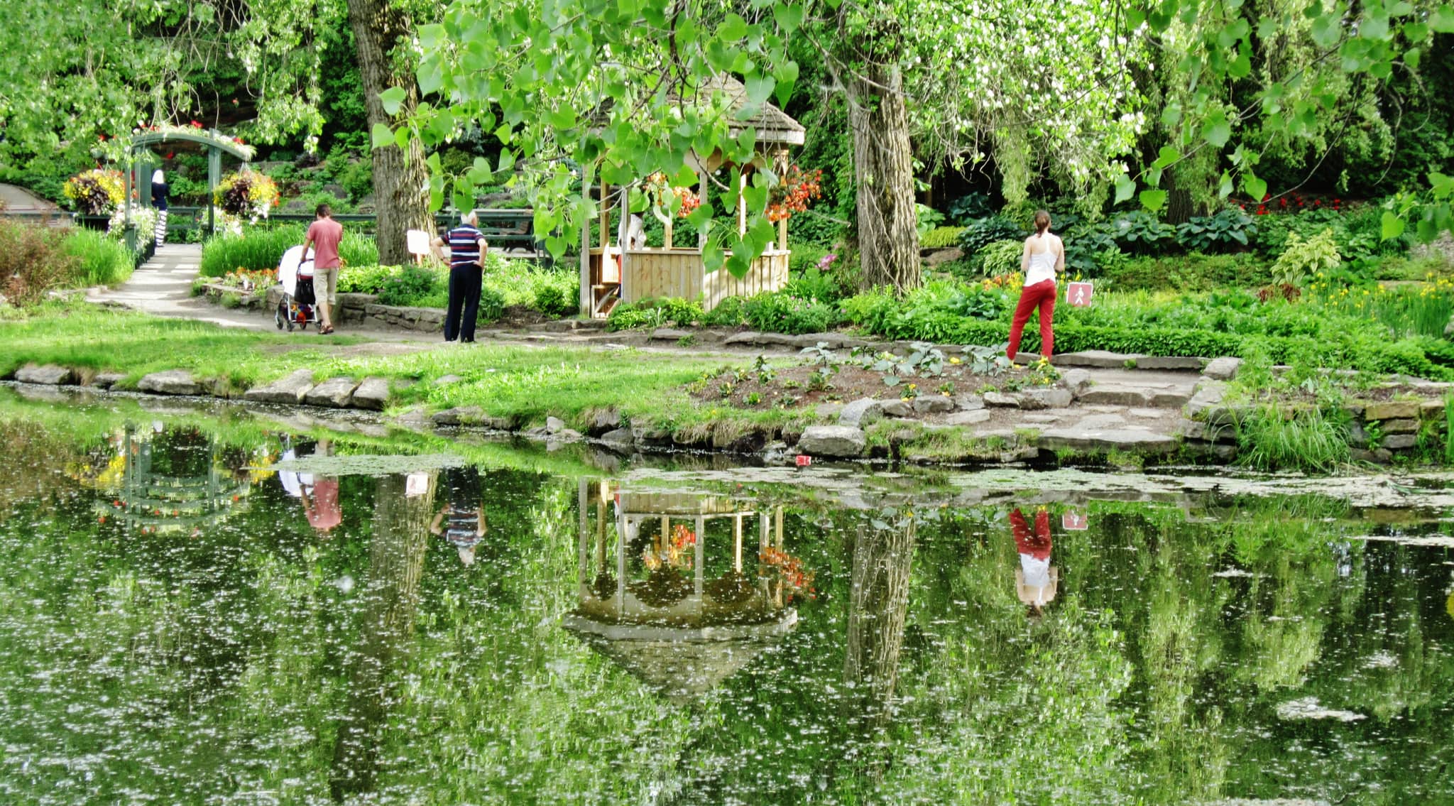 Serene Ponds
