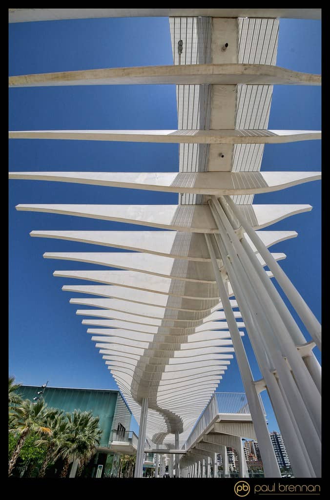 Modern Sculptures