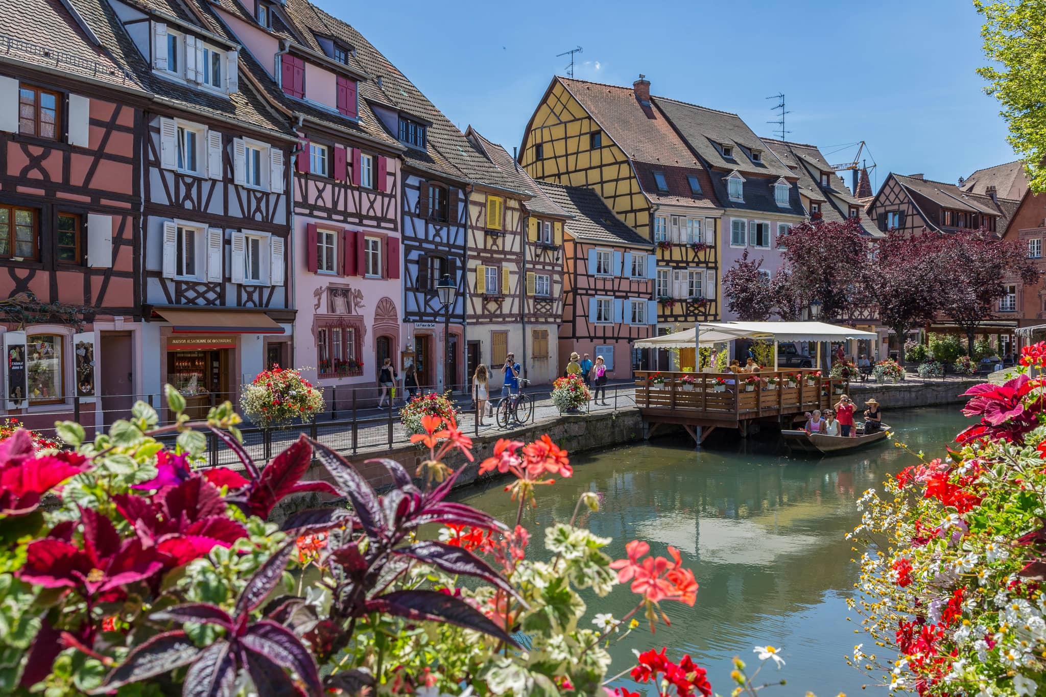 Half-Timbered Houses