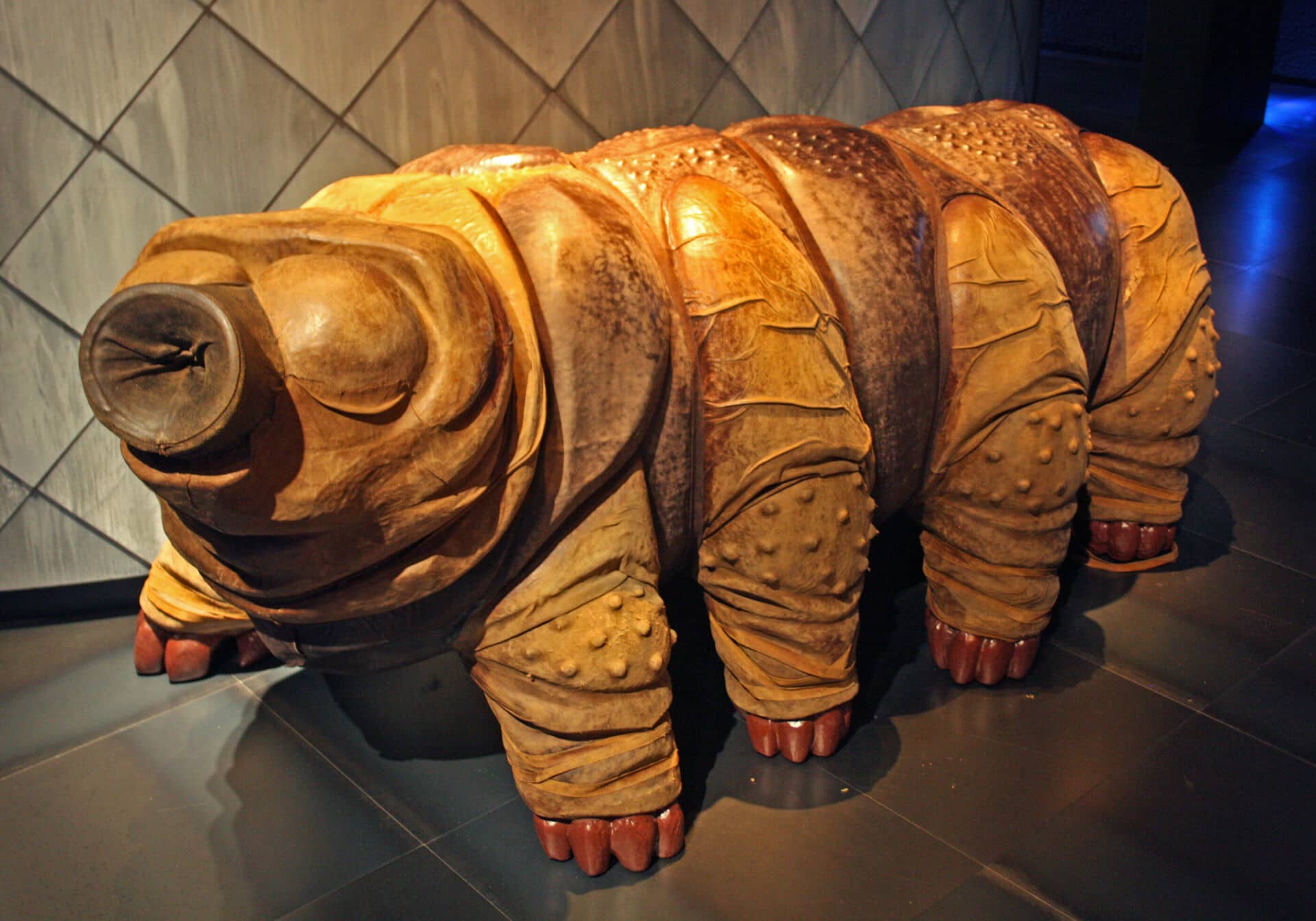 Clay Exhibition