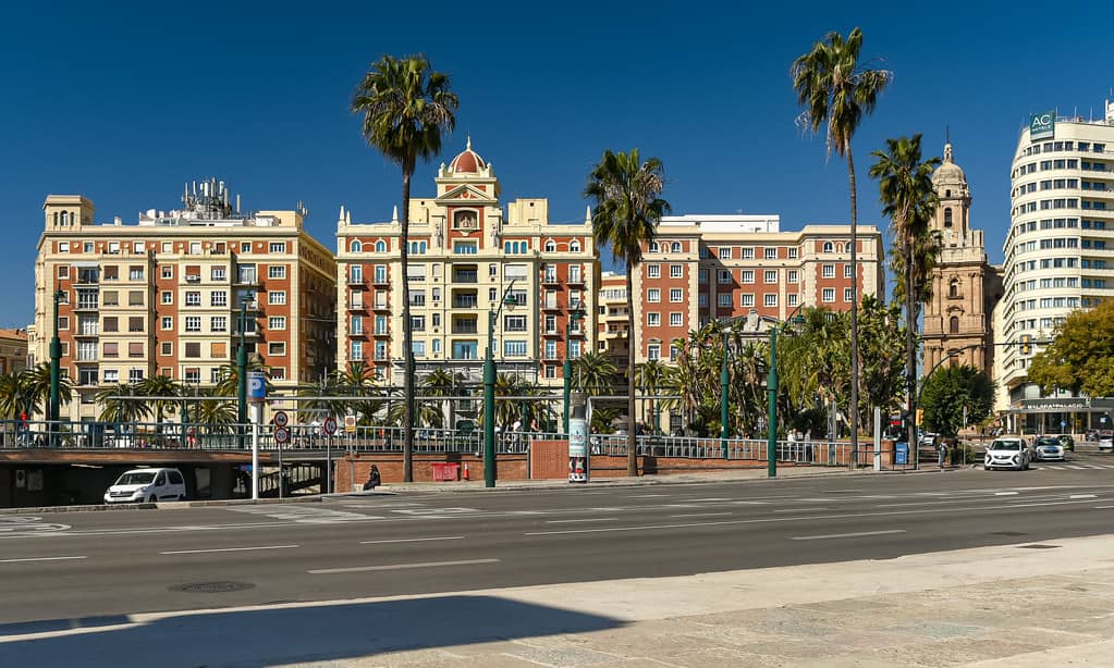 Palm-Lined Promenade