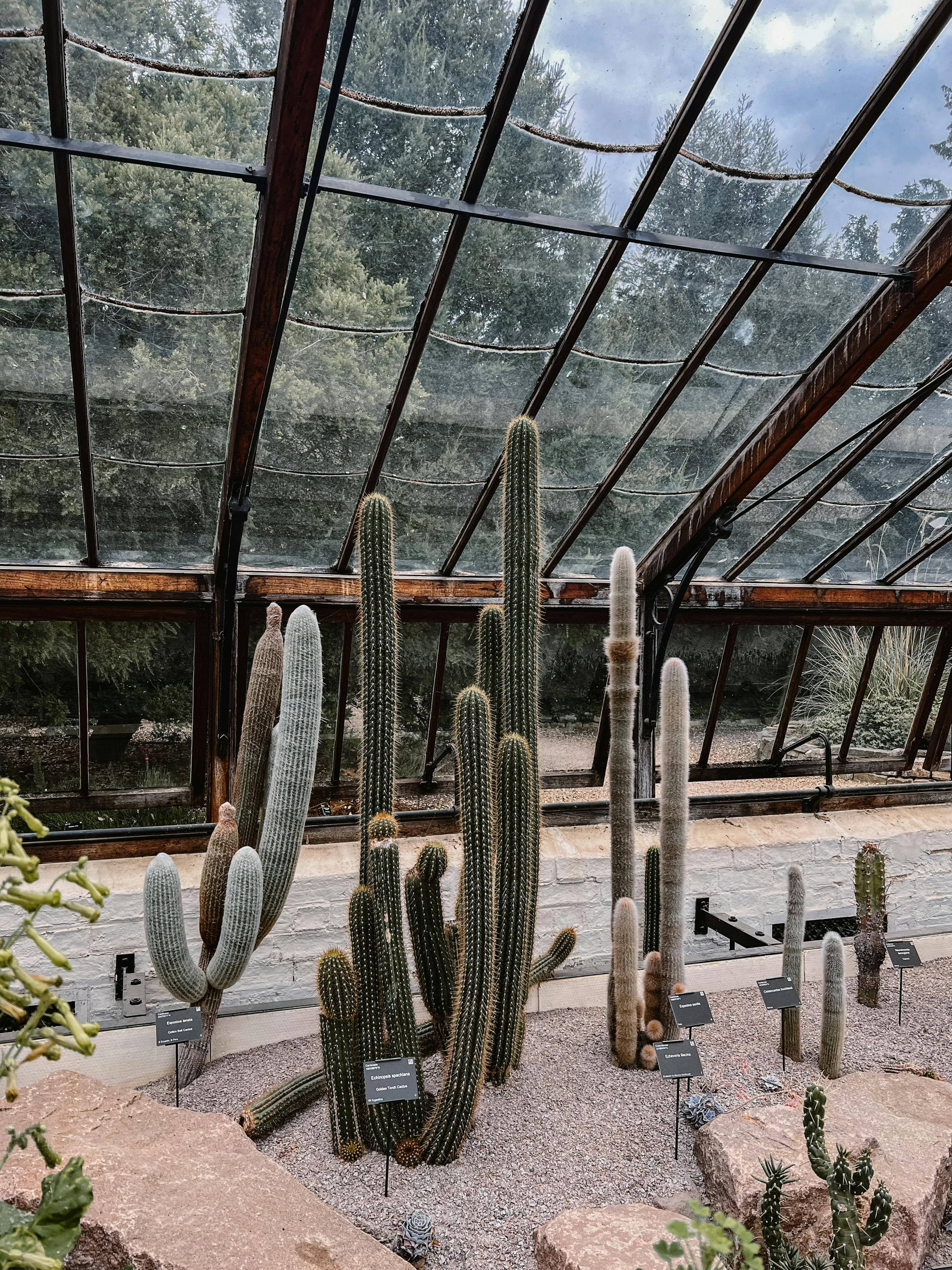 Cactus and Succulent House