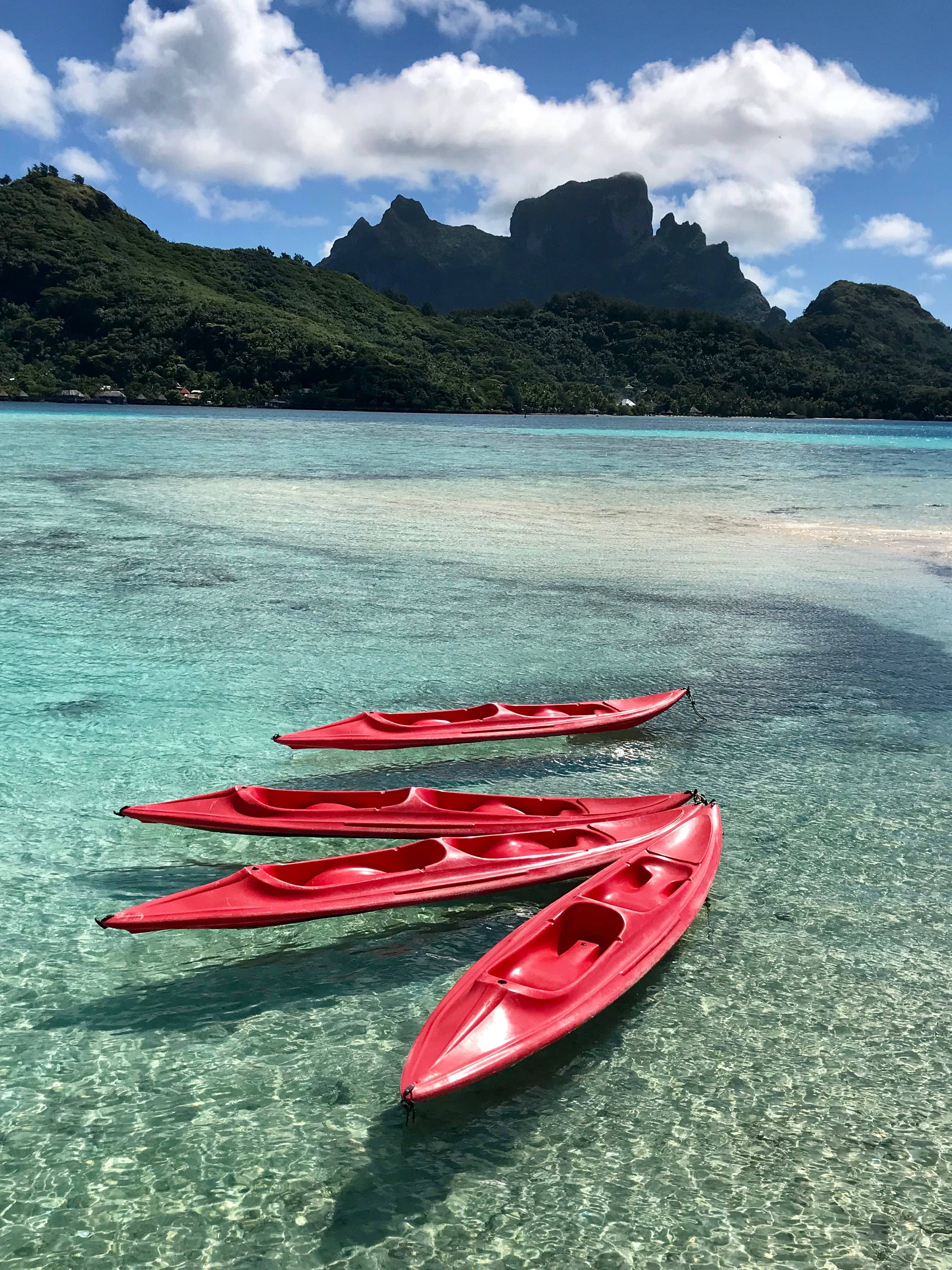 Boat Tour Perspectives