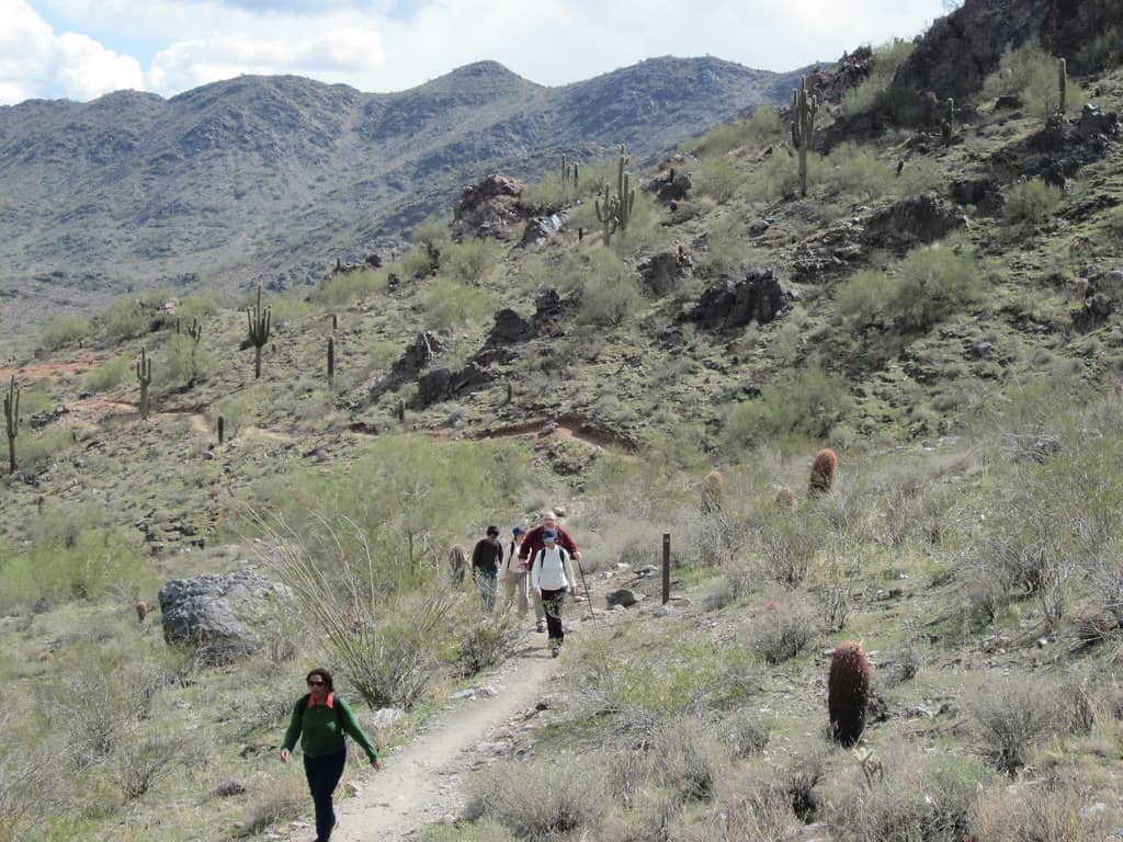 North Mountain Trails