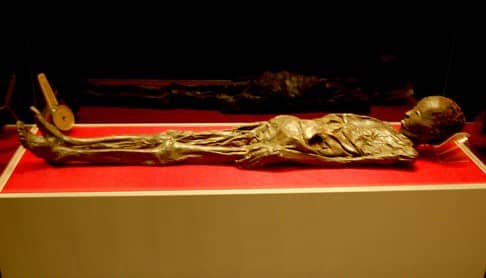 Archaeological Finds