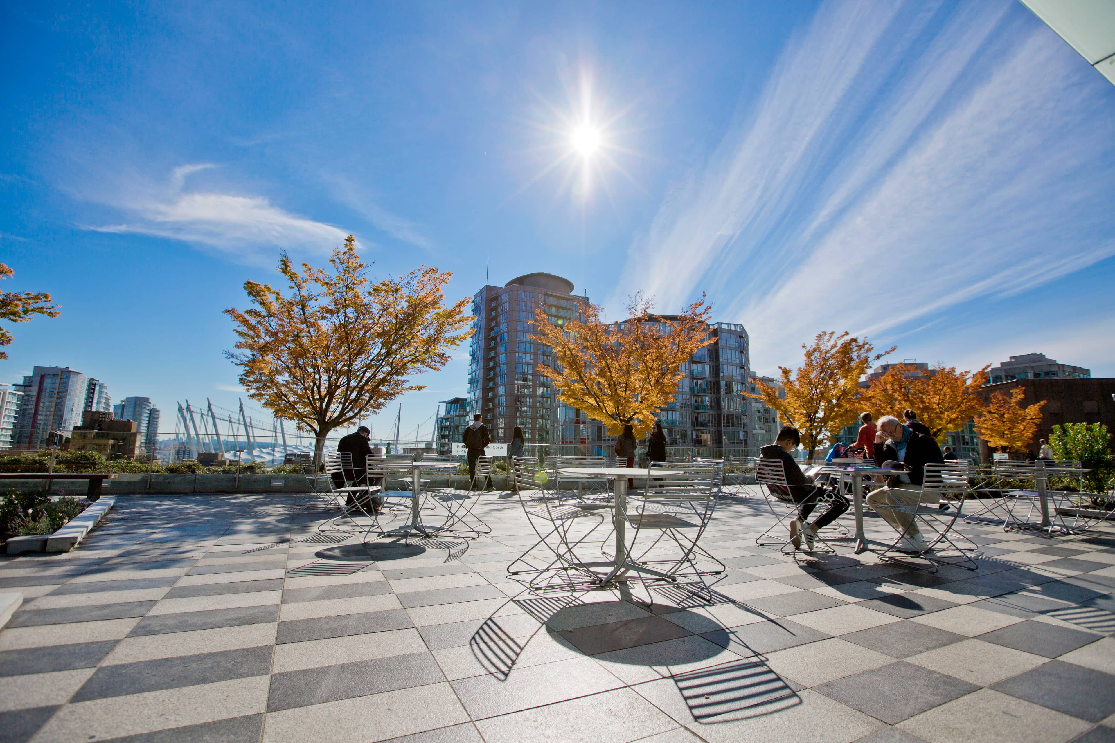 Rooftop Garden Oasis
