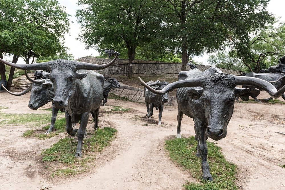 Sculptural Longhorns