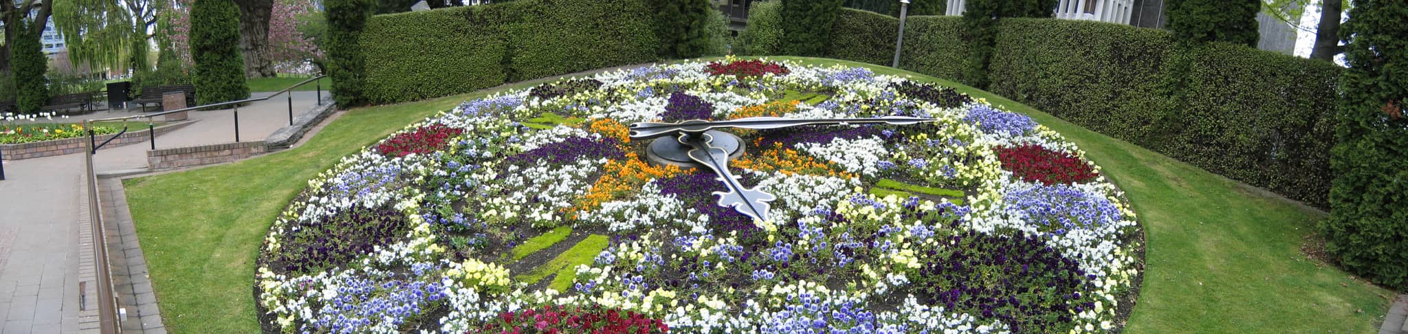 Floral Displays